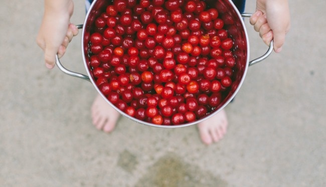 Freshly Picked Cherries | Sarah Kieffer | The Vanilla Bean Blog