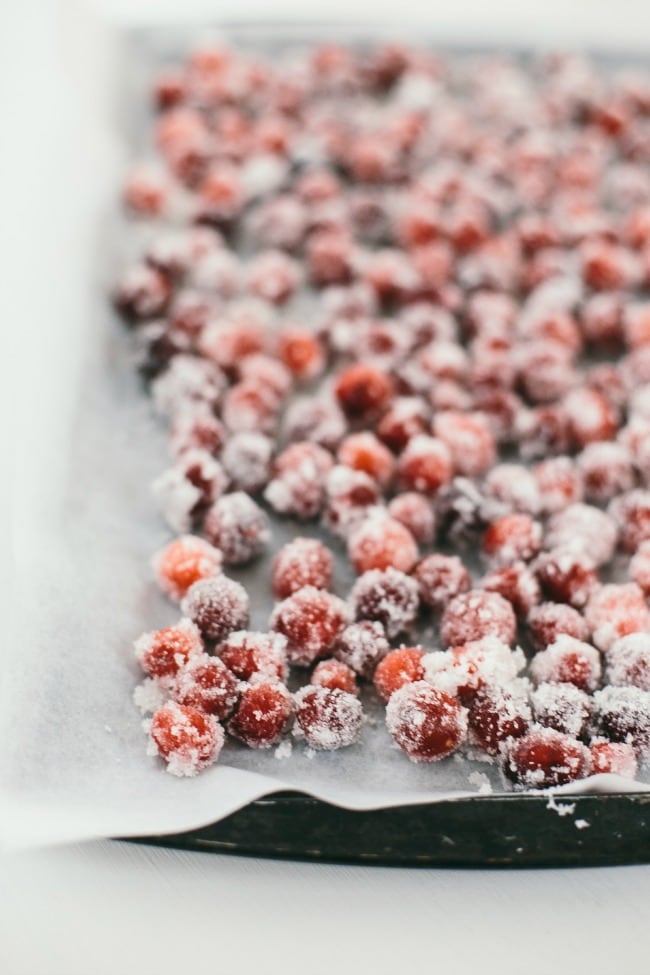 Sugared Cranberries | The Vanilla Bean Blog | Sarah Kieffer