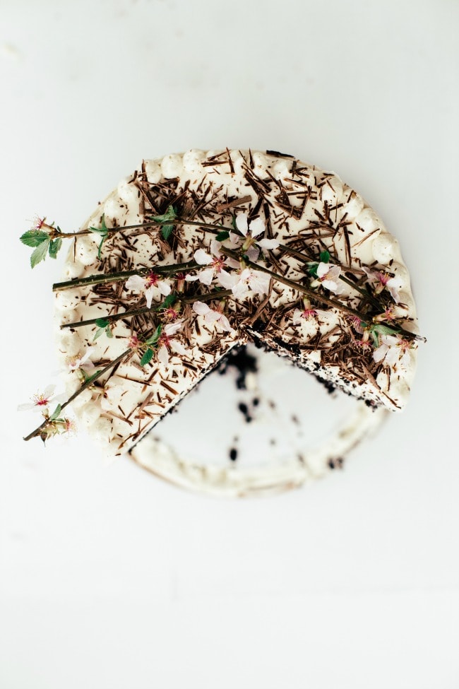 Chocolate Tiramisu Cake | Sarah Kieffer | The Vanilla Bean Blog