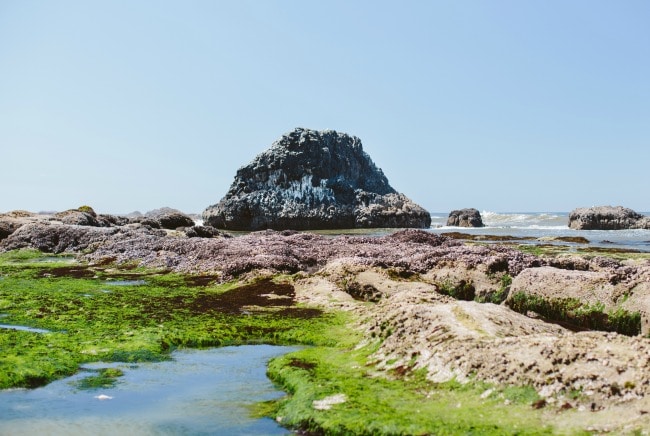 Oregon Coast