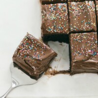 chocolate snack cake