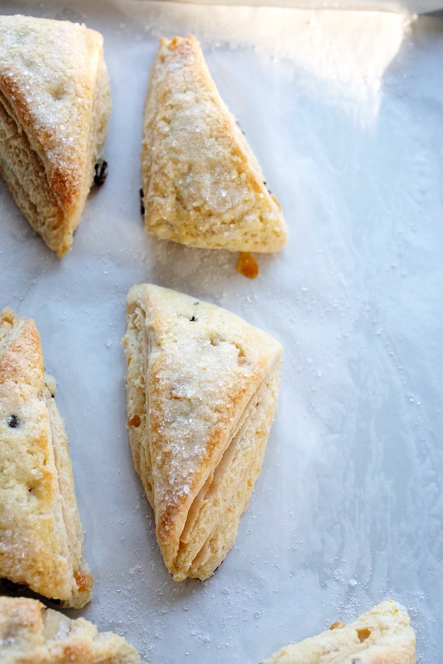 panettone scones on parchment paper