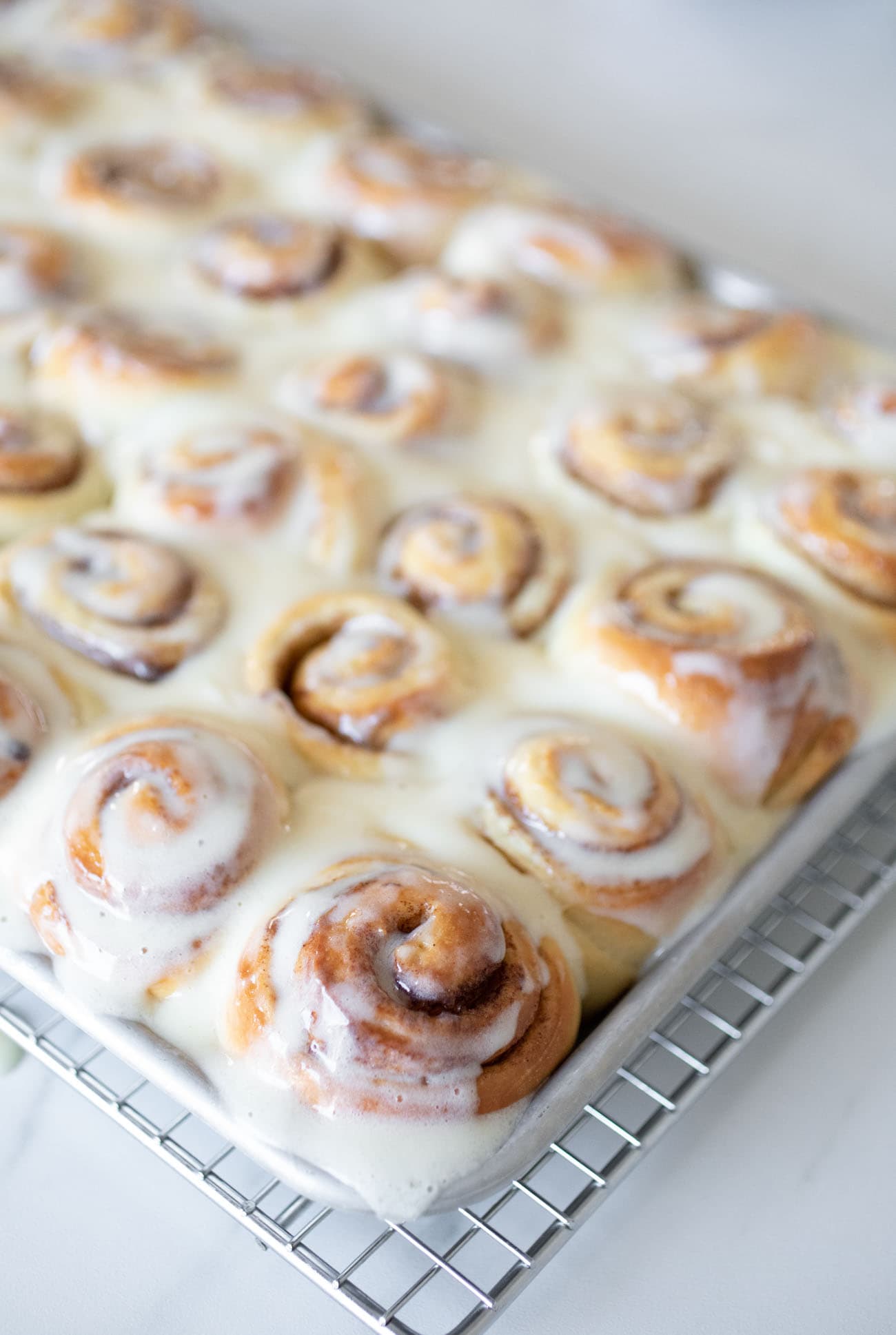 mini cinnamon rolls in a pan