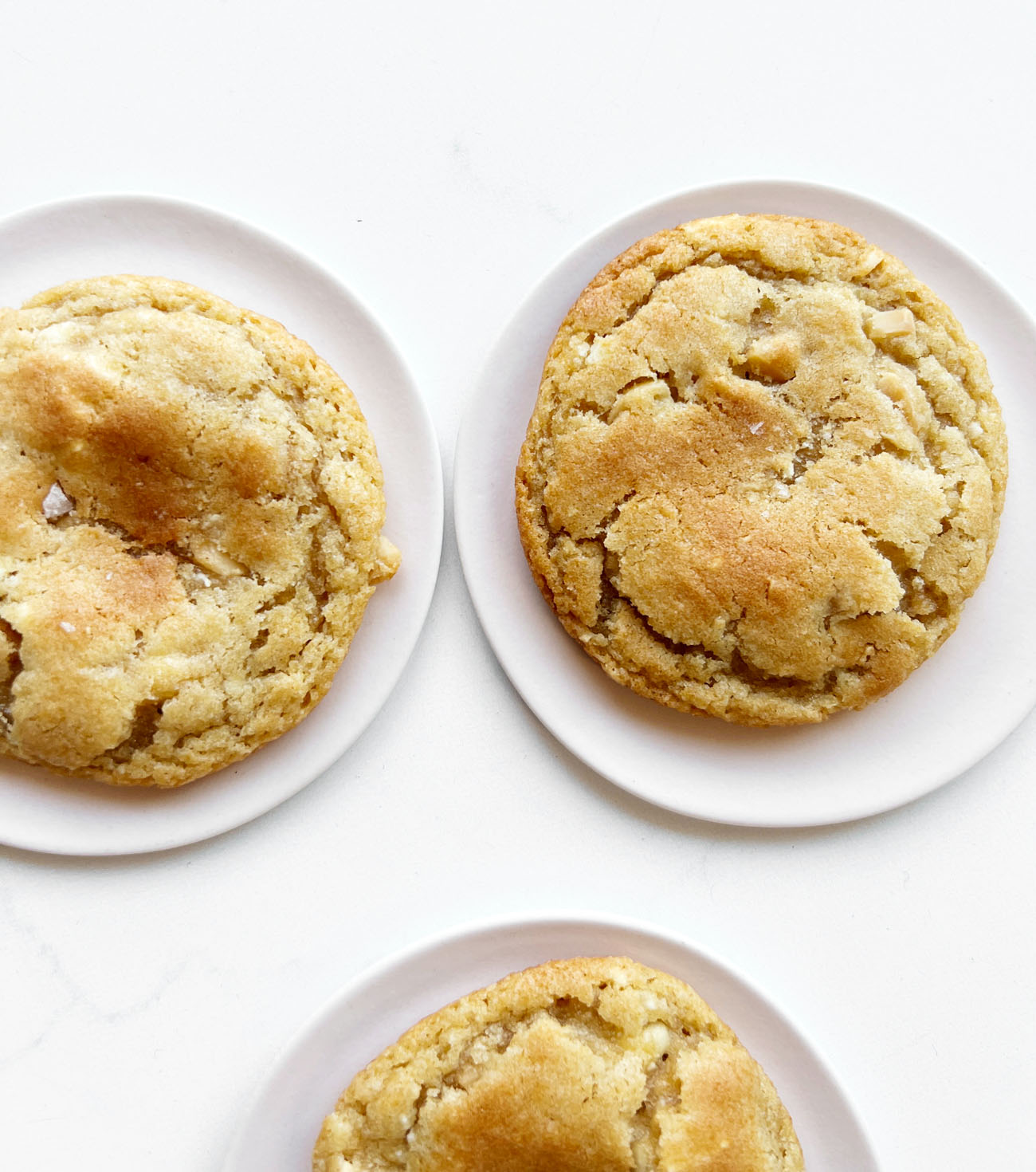 white chocolate cookies on plates