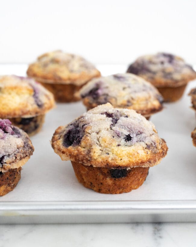 blueberry muffins on a sheet pan