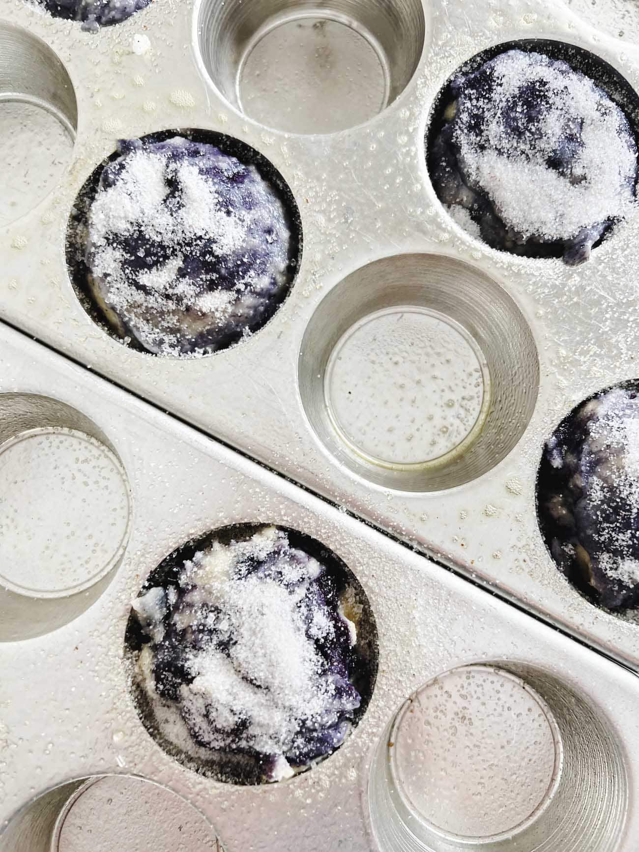 blueberry muffin batter in muffin tin
