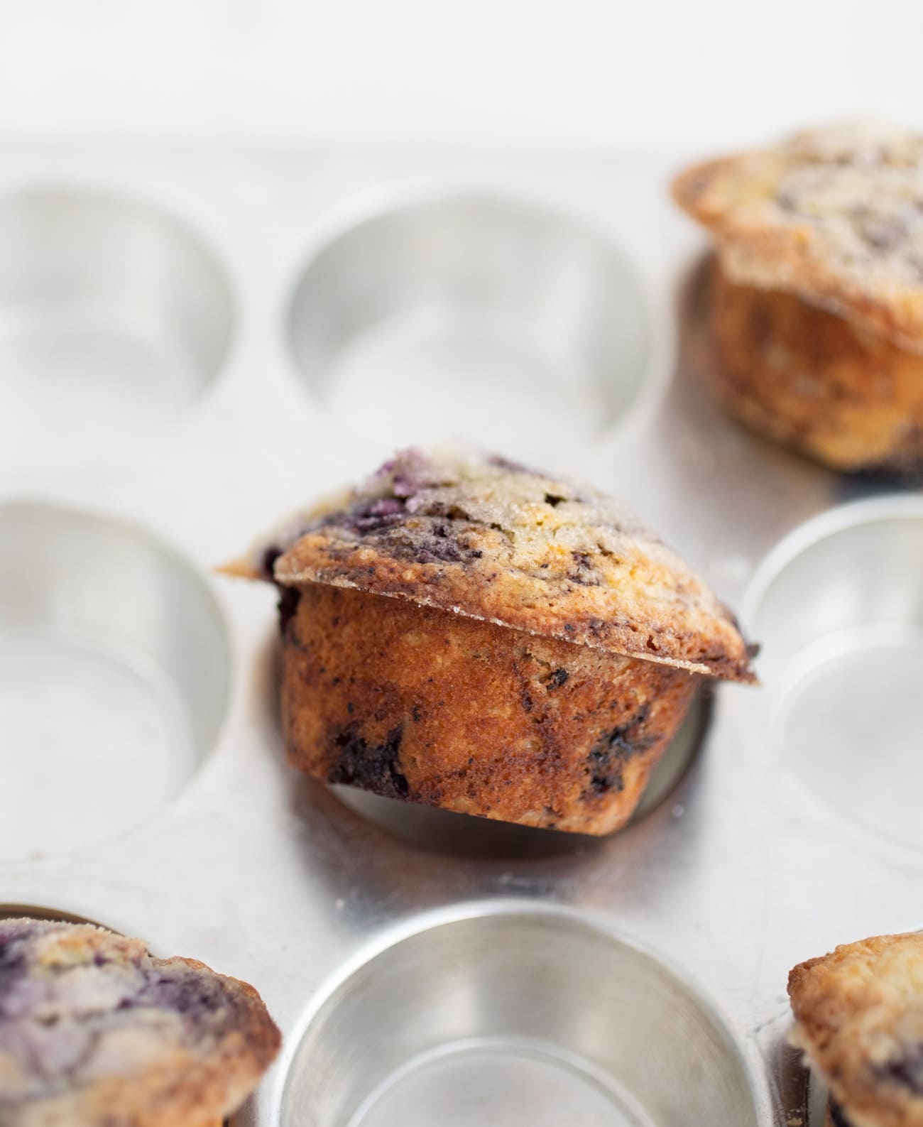 blueberry muffins in a muffin tin