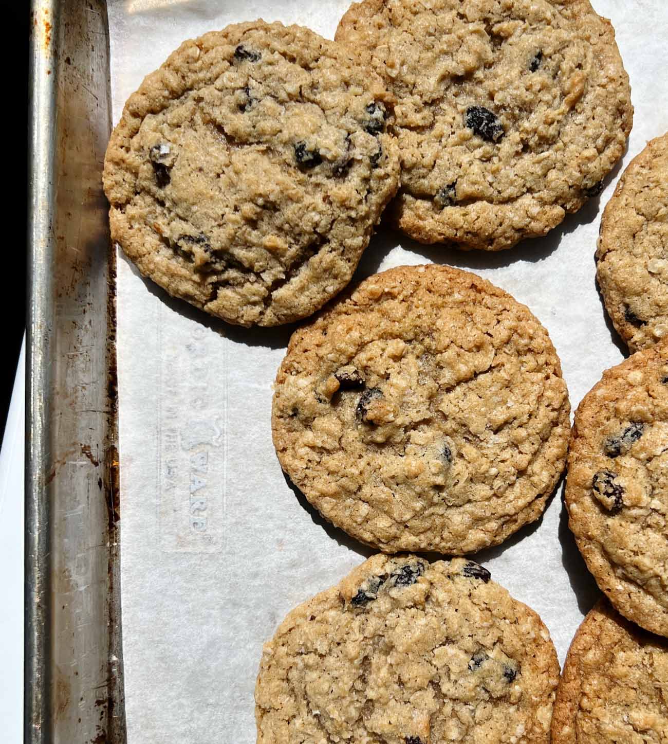 soft oatmeal raisin cookies on cookie sheet