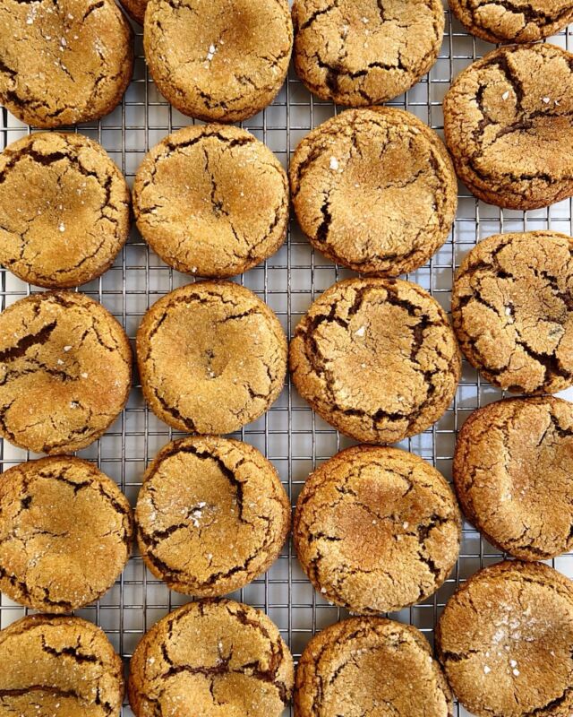 Cookie baking season may now commence. ☺️ These are my Chewy Double Ginger Molasses Cookies; they have crispy edges, a tender center, and plenty of ginger flavor. I use both fresh, grated ginger and crystallized ginger in these cookies for fabulous spice. 

Link to the *recipe* in my profile!

________
#gingercookies #cookiebaking #cookieseason #molassescookies #holidaycookies #cookierecipe #cookierecipes